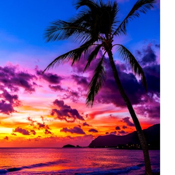 Meet your Posher, Ramiro - Picture 1 of 1